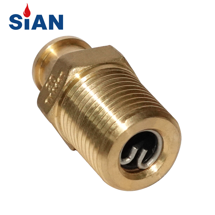 Sian Self閉鎖20mm LPGシリンダーコンパクトバルブD20 